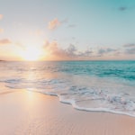 Summer Campaign Mockup.png